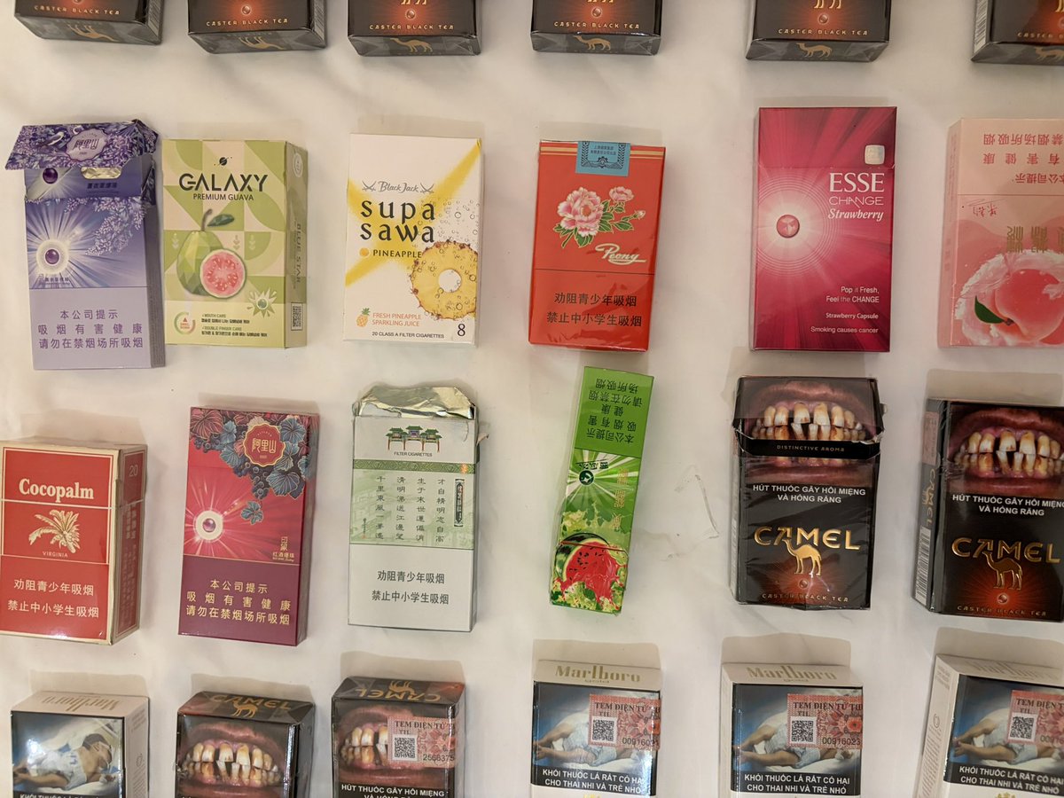 miumiumtea1's tweet photo. My time to shine, currently in china loving life! https://t.co/eqLFJ3jYeA