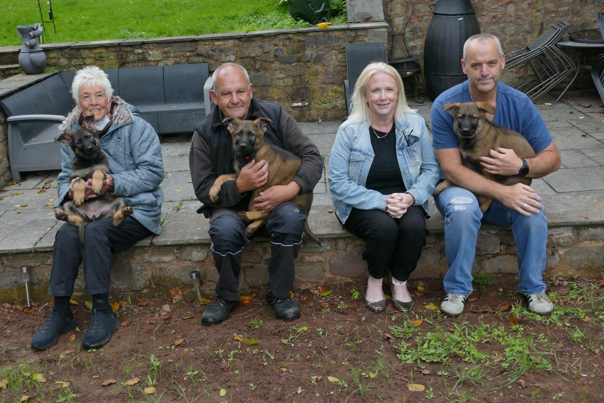 DC_Police Dogs ( Puppy Development Program) tweet media