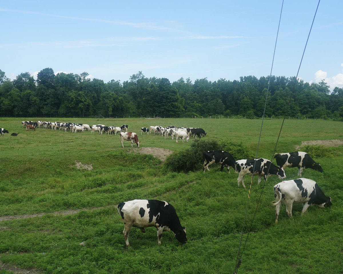 sethmoulton's tweet photo. Had a great tour of Bar-Way Farm in Deerfield, MA this morning. Founded in 1919, this fifth-generation family farm is a leader in sustainable agriculture. They do everything from milking cows to turning waste into electricity and fertilizer. Proud to see this kind of sustainable innovation thriving in Western Mass.