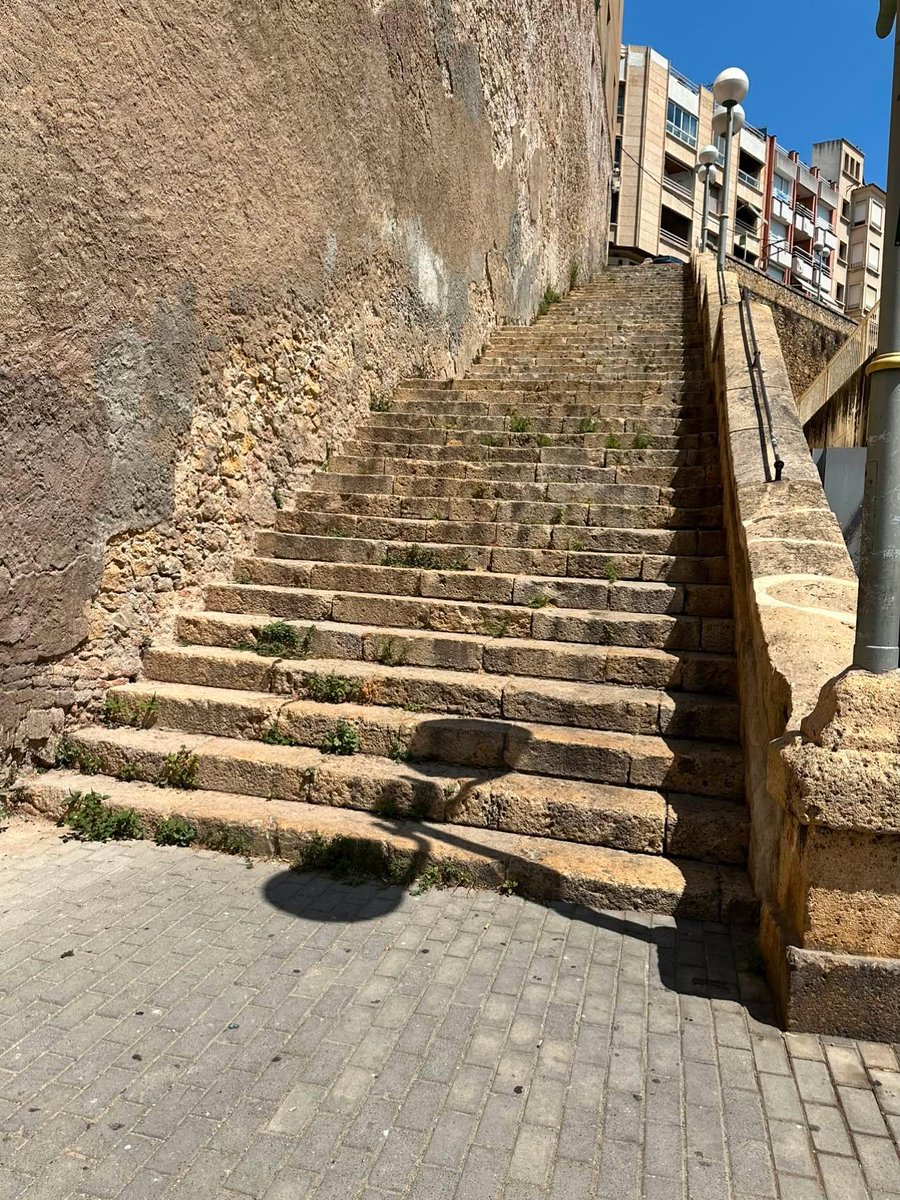 Plat_TgnaNeta's tweet photo. #tarragona #Tarragonabruta 
C/General Contreras i Pau del Protectorat
Barri del Port.... 
Entre vegetació espomtànea, falta de neteja i escales que no van.... el Barri del Port continua abandonat per l'ajuntament de Tarragona. https://t.co/ByOfBnx3bG