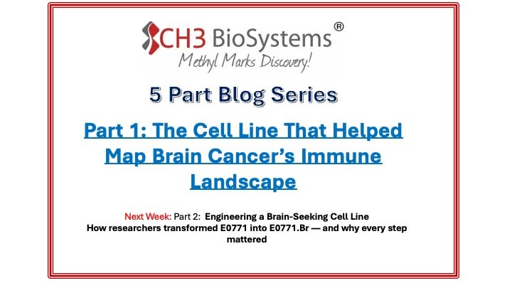 CH3BioSystems's tweet photo. Click here to learn more: https://t.co/zN7qoiWrBS https://t.co/4WQu54UmFL