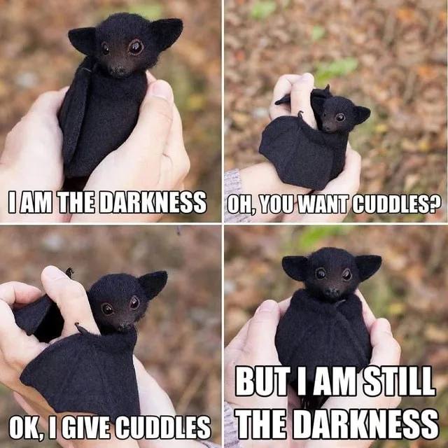 SpillTheMemes's tweet photo. 😂 https://t.co/F6YpVudS79