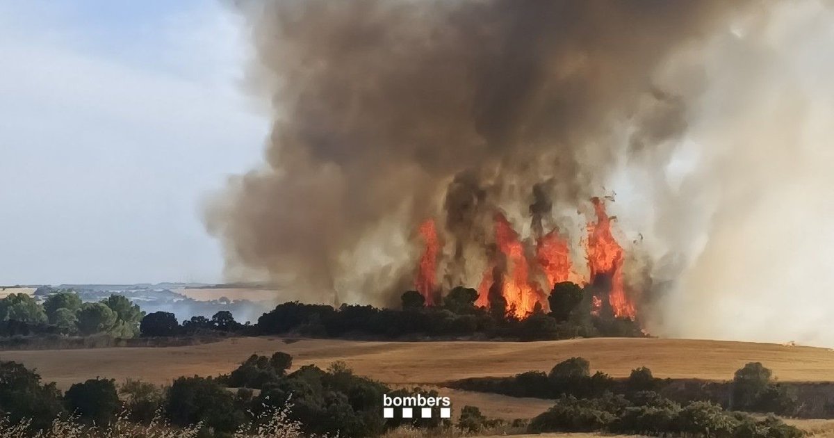 bomberscat's tweet photo. L'#IFGuimerà té capacitat de llençar focus secundaris, ha agafat vegetació forestal i camps de conreu per segar. Demanem el confinament de la vila Mas de Bondia i confirmem amb @mossos el tall de la LV-2101. L'incendi el considerem de nou com a ACTIU

23🚒+4🚁+5✈️
#bomberscat https://t.co/WT1sKrlF6c