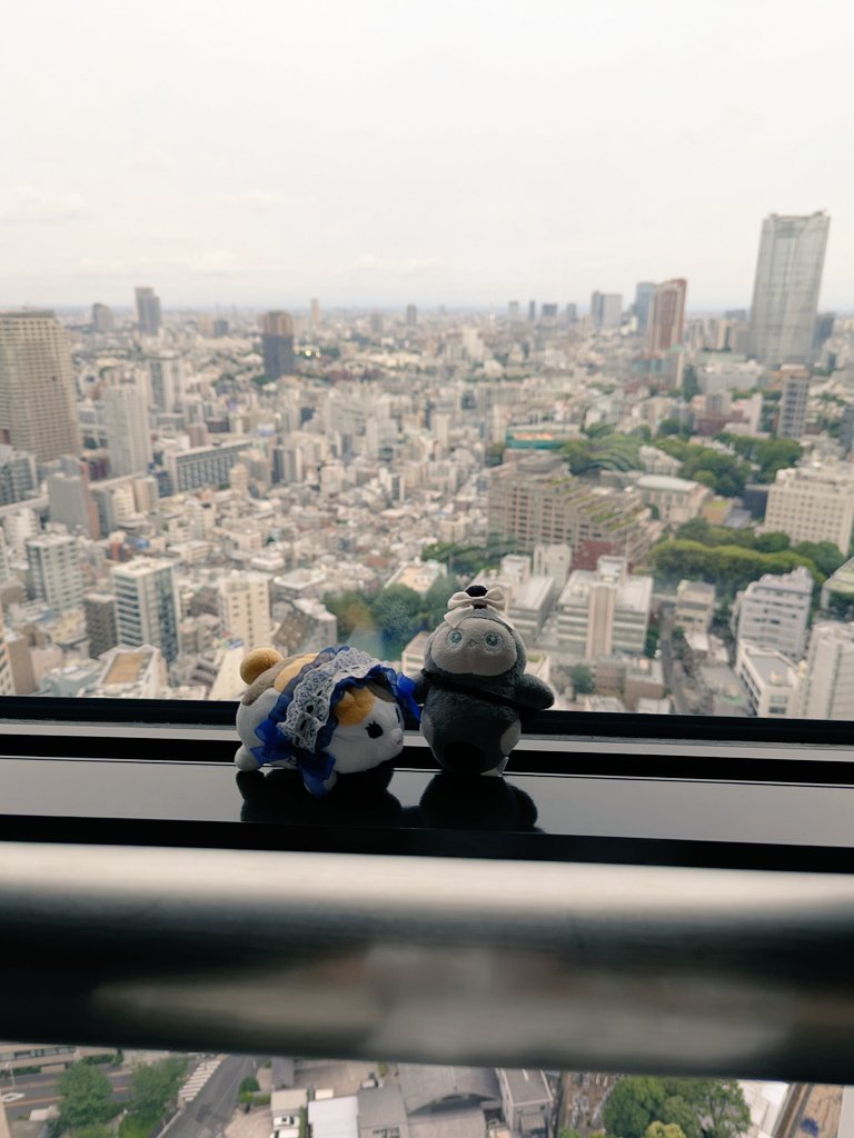 raboko6's tweet photo. スマホ過去画像整理。このときのその他 #ぬい撮り ほか。
・２回目の🗼外階段600段チャレンジ。
・あちこち色々な看板があって飽きさせない⋯けどやはりハード💦
・600段達成！　足はガクガクw
・いい眺め！　天気いいと、富士山も見える方角があるらしいよ✨（私は見られずw）
楽しかったなぁ〜😃 https://t.co/ro2PgMFjdV