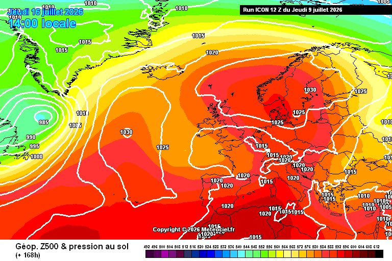 Chems Météo tweet media