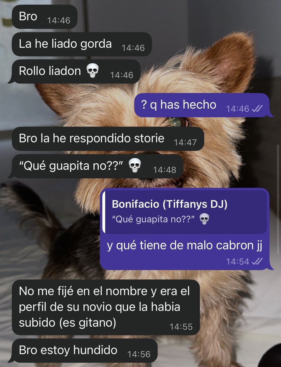 Pela(yo) tweet media