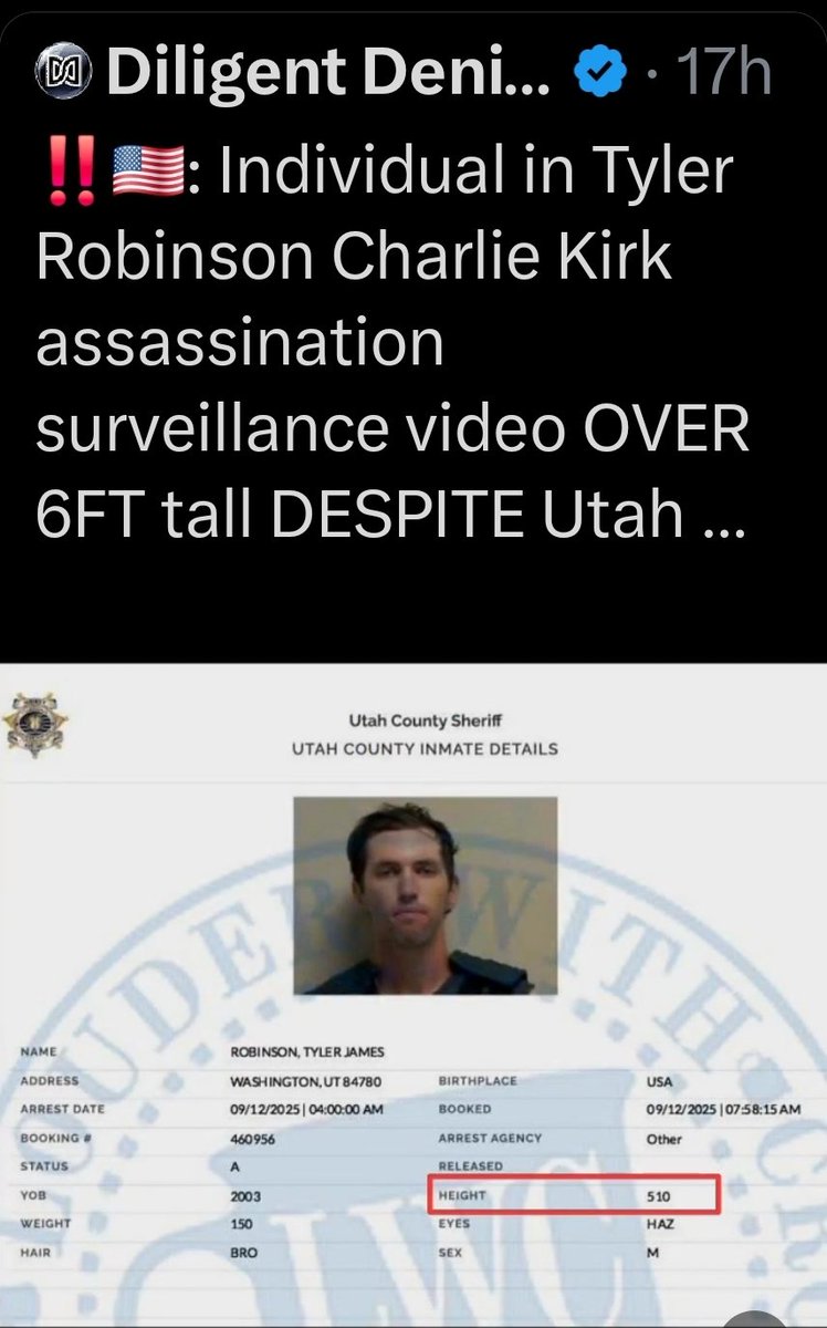 gig_simple's tweet photo. @CharmingDegen @Raginglumberjck @_SammyGirl__ @lancevideos @benshapiro Force them with simple logic questions.  Stop giving up like a https://t.co/dFP1xZQHZ7