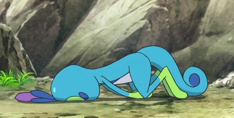 OoCPokemon's tweet photo. good morning https://t.co/Cz8atVFbSC