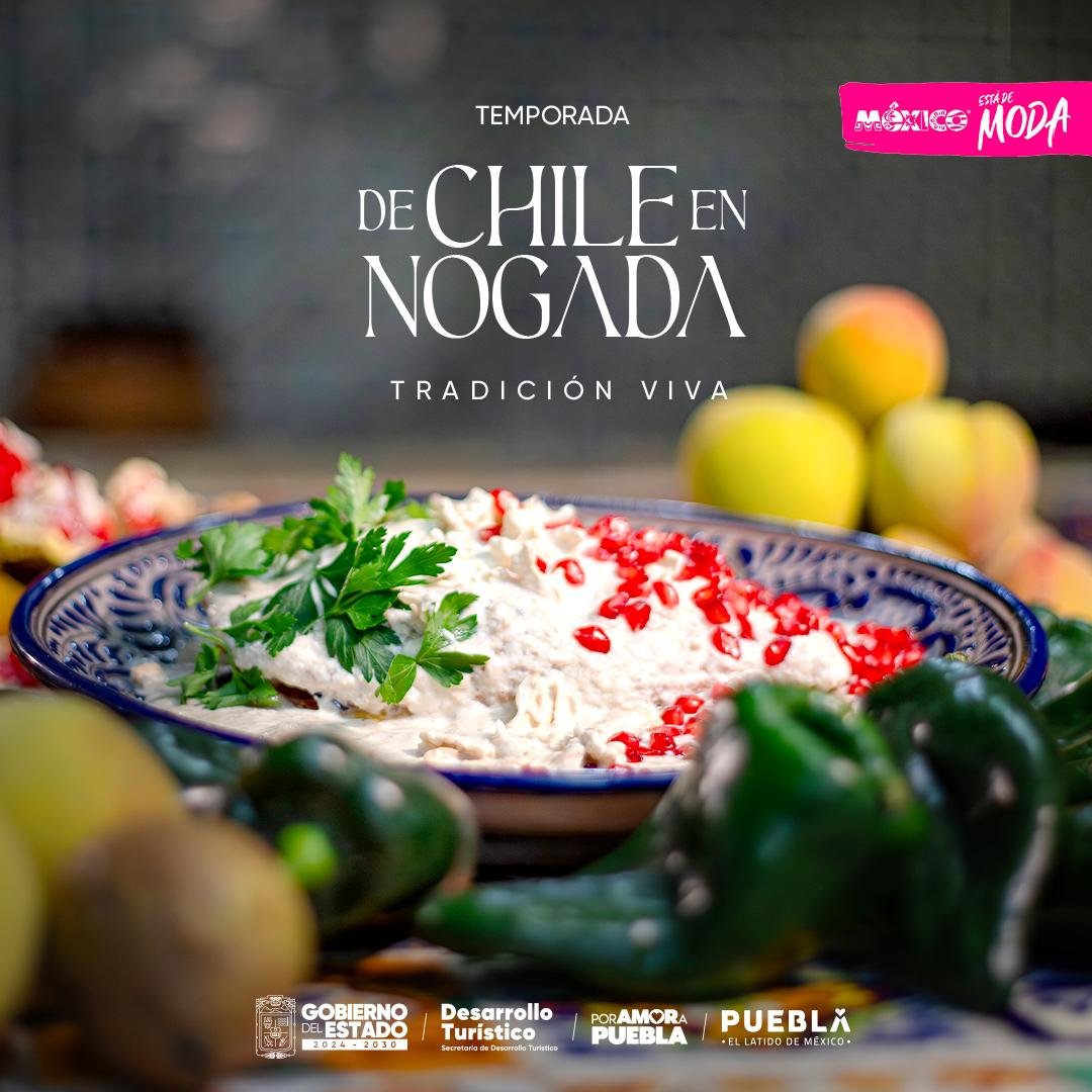 CCLGobPue's tweet photo. 🌶️🤝 La temporada de Chile en Nogada representa el trabajo de quienes hacen posible una de las expresiones culinarias más emblemáticas de Puebla.

El @Gob_Puebla impulsa acciones que fortalecen nuestras tradiciones y proyectan la grandeza de la entidad.

#PorAmorAPuebla https://t.co/rDvik4t2ZC