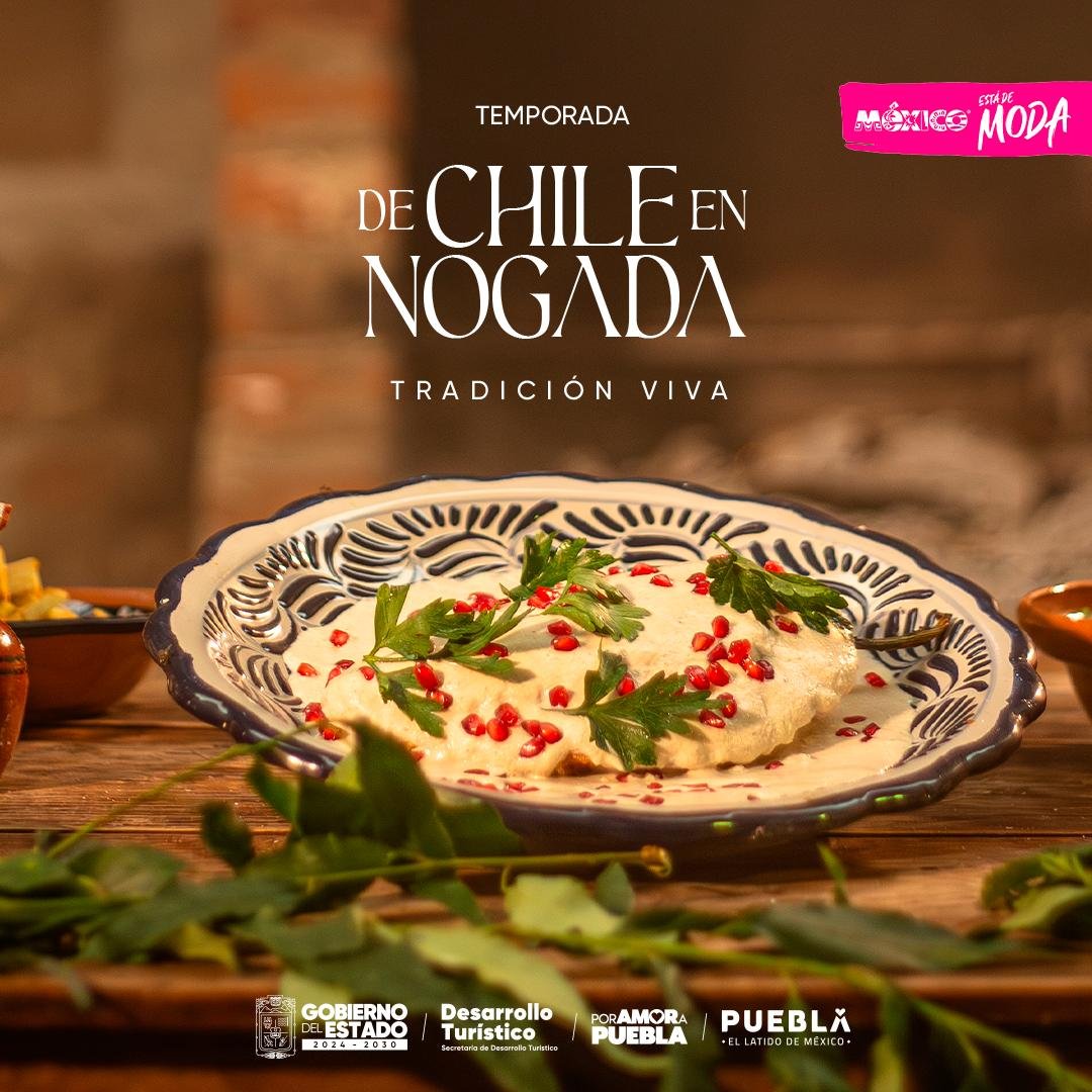 CCLGobPue's tweet photo. 🍽️🌰 El Chile en Nogada reúne historia, sabor y tradición en un platillo que forma parte del patrimonio cultural de Puebla.

Con el impulso del @Gob_Puebla , esta temporada fortalece la promoción de la riqueza gastronómica que distingue a las y los poblanos.

#PorAmorAPuebla https://t.co/E7euP8PdSq