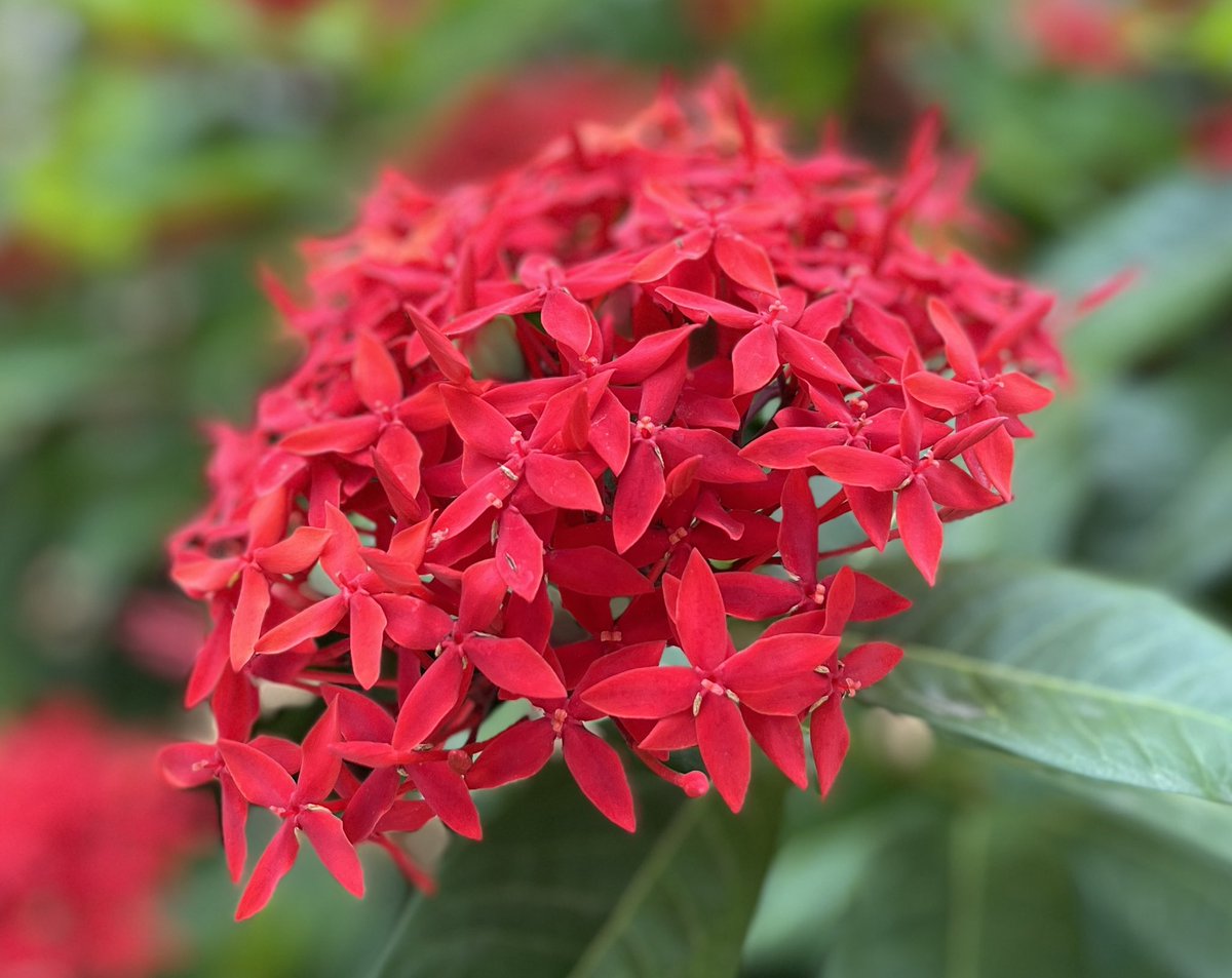 amareshchandel's tweet photo. #staybeautiful https://t.co/7SZgP236Sv