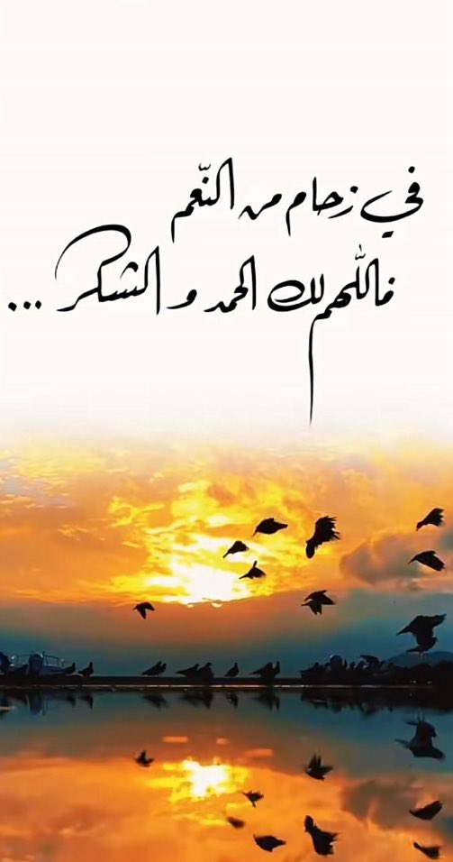 eudhbatant's tweet photo. الحمد لله🤍 https://t.co/8O978AJp2U
