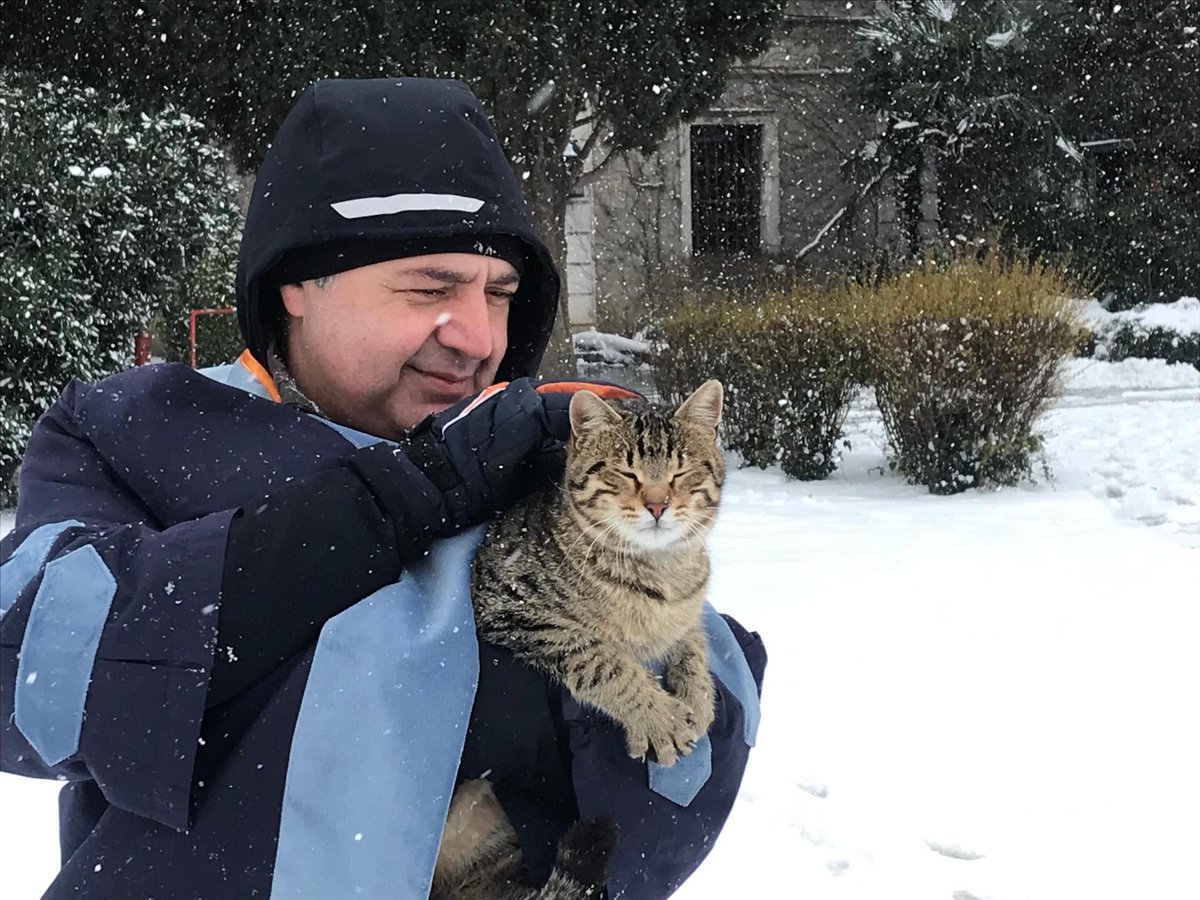 yunusunbabasi's tweet photo. Your furry friends at Boğaziçi miss you.💙 #Bogazici1863 https://t.co/dnvoj0yojX