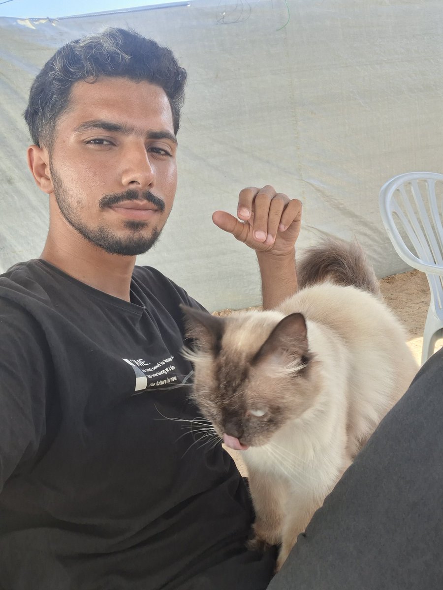MustafaAmeen30's tweet photo. I'm so happy because Misho is now jumping into my lap and wants to play with me 😭🤍 https://t.co/r8xMECYV2U
