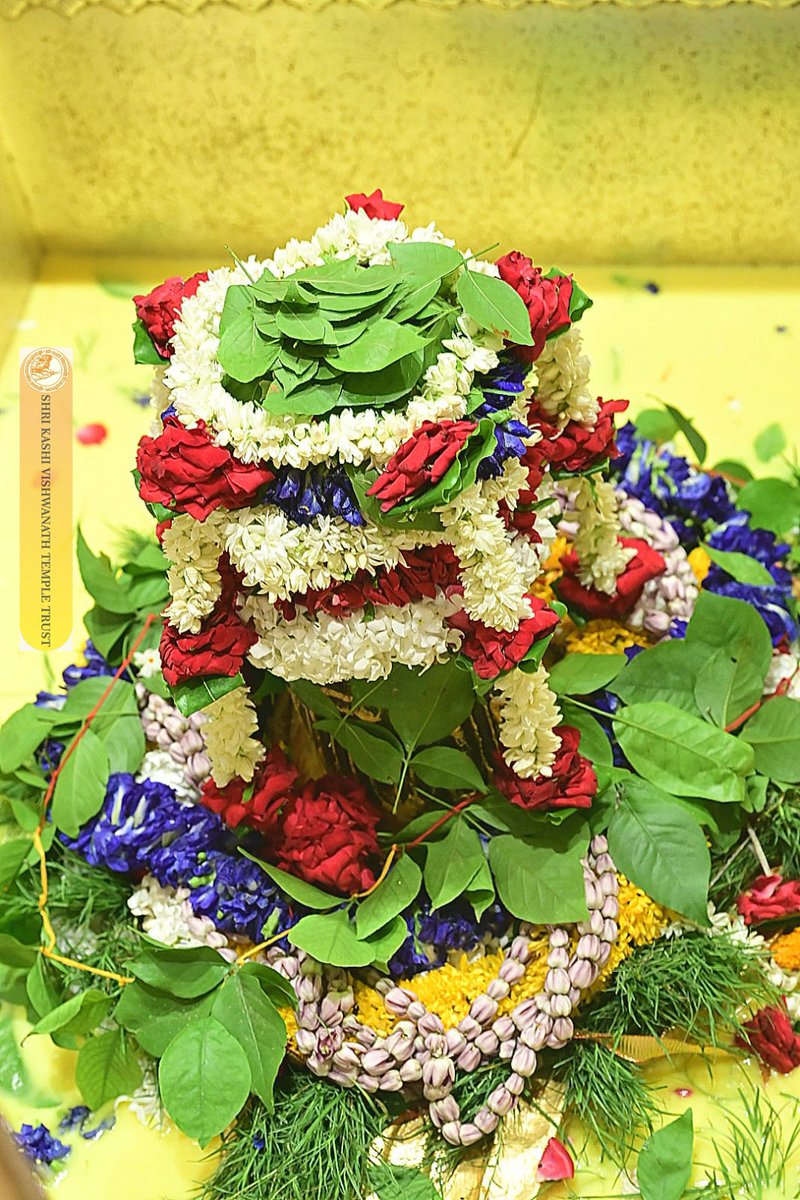 ShriVishwanath's tweet photo. श्री काशी विश्वनाथ जी की सप्तऋषि आरती I
#kashivishwanath #kashi #hindu #sanatandharmaहमारे https://t.co/Y8XYrbn7DN