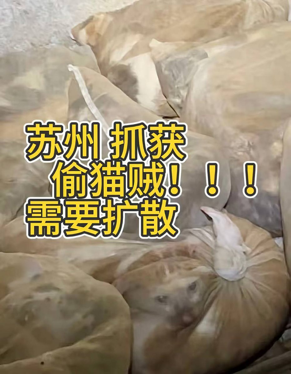 李老师不是你老师 tweet media