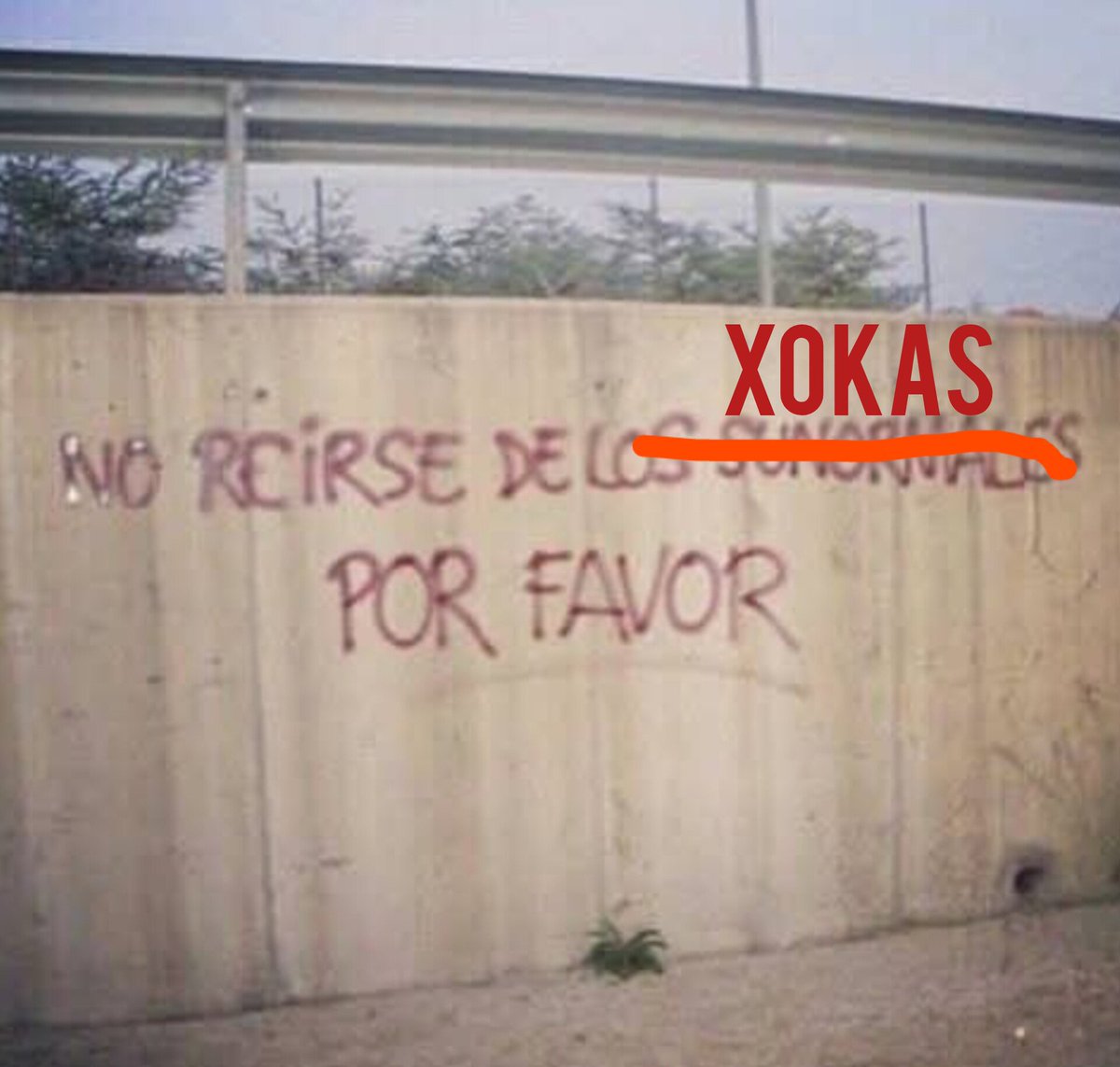 exposed_facha's tweet photo. https://t.co/T1RRtuJKtu