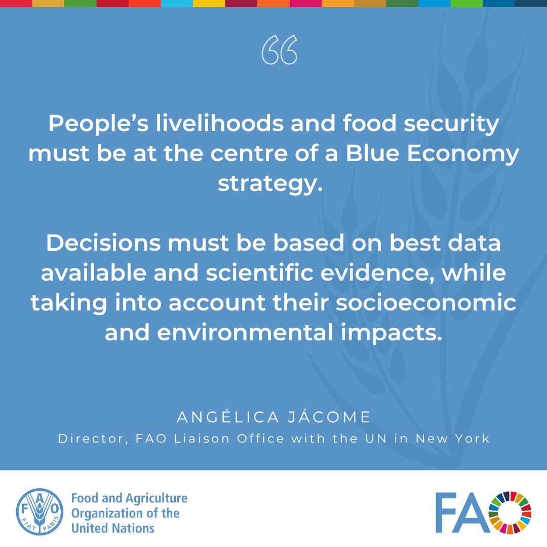 FAONewYork's tweet photo. At #HLPF2026 event "Driving Industrial &amp; Inclusive Economic Transformation" @FAONewYork's, Angélica Jácome, underlined need to put livelihoods &amp; #FoodSecurity at the center of #BlueEconomy strategies, urging decision-making based on scientific evidence.

🔗https://t.co/dhm6IIXWpv https://t.co/IMW1Evevcm
