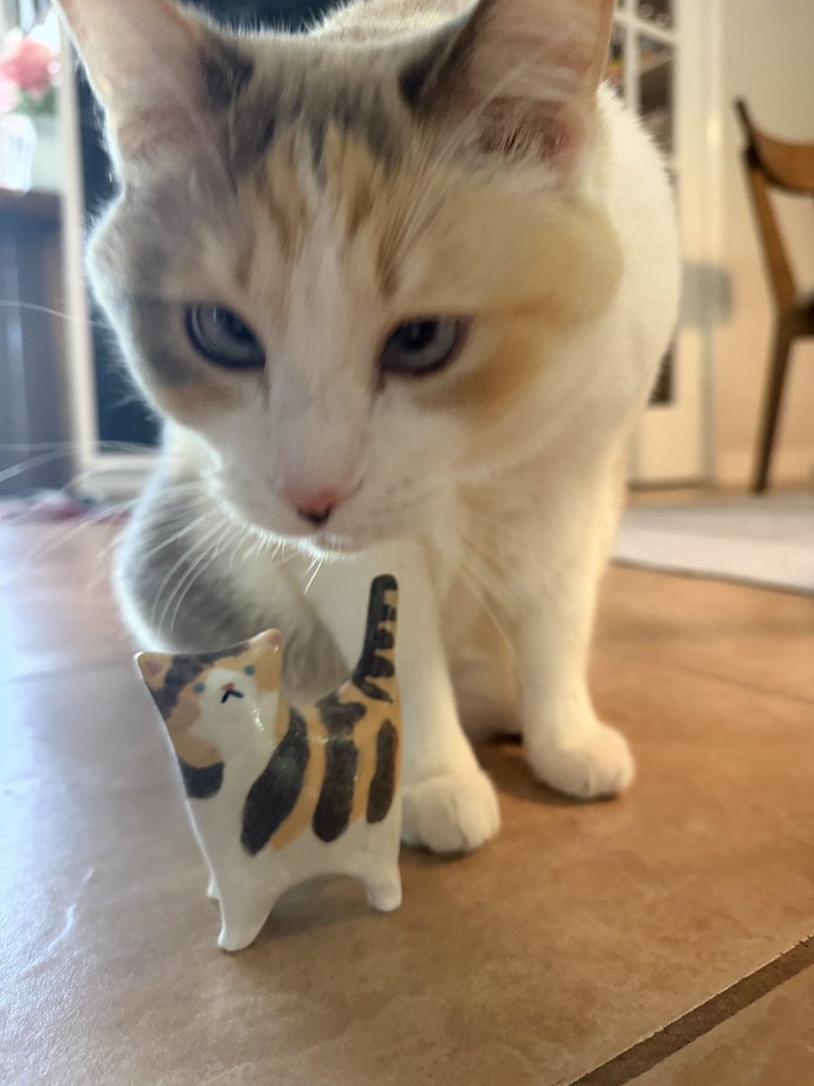 Panko A. Cat’s Mom tweet media