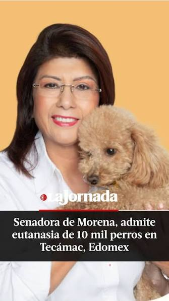 Mari953215's tweet photo. @SusyMor2 No olvidemos tampoco a la mata perros @MarielaGtzEsc No hay que ser de doble moral e indignarse más por lo que dijo un viejo tonto en tv abierta vs la acción que cometió con total impunidad al masacrar a estos lomitos! https://t.co/mYoZuMjdsp