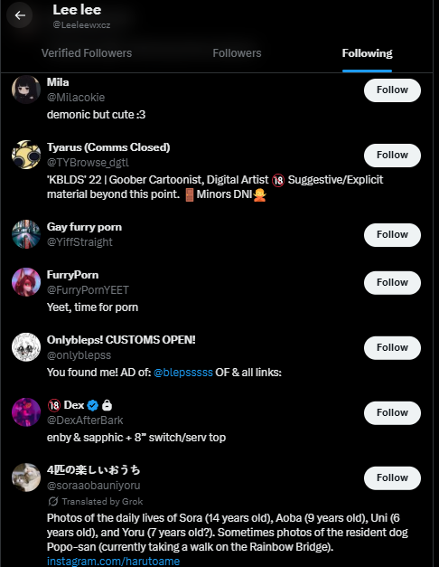 hotshotchiga's tweet photo. lee lee , aka major from furry friend network is following alot of NSFW furry accounts and all of them are cats and digimon cat women and pokemon  furry cat stuff ass i think this dude is the furry Shane Dawson https://t.co/JSmnXWh5md
