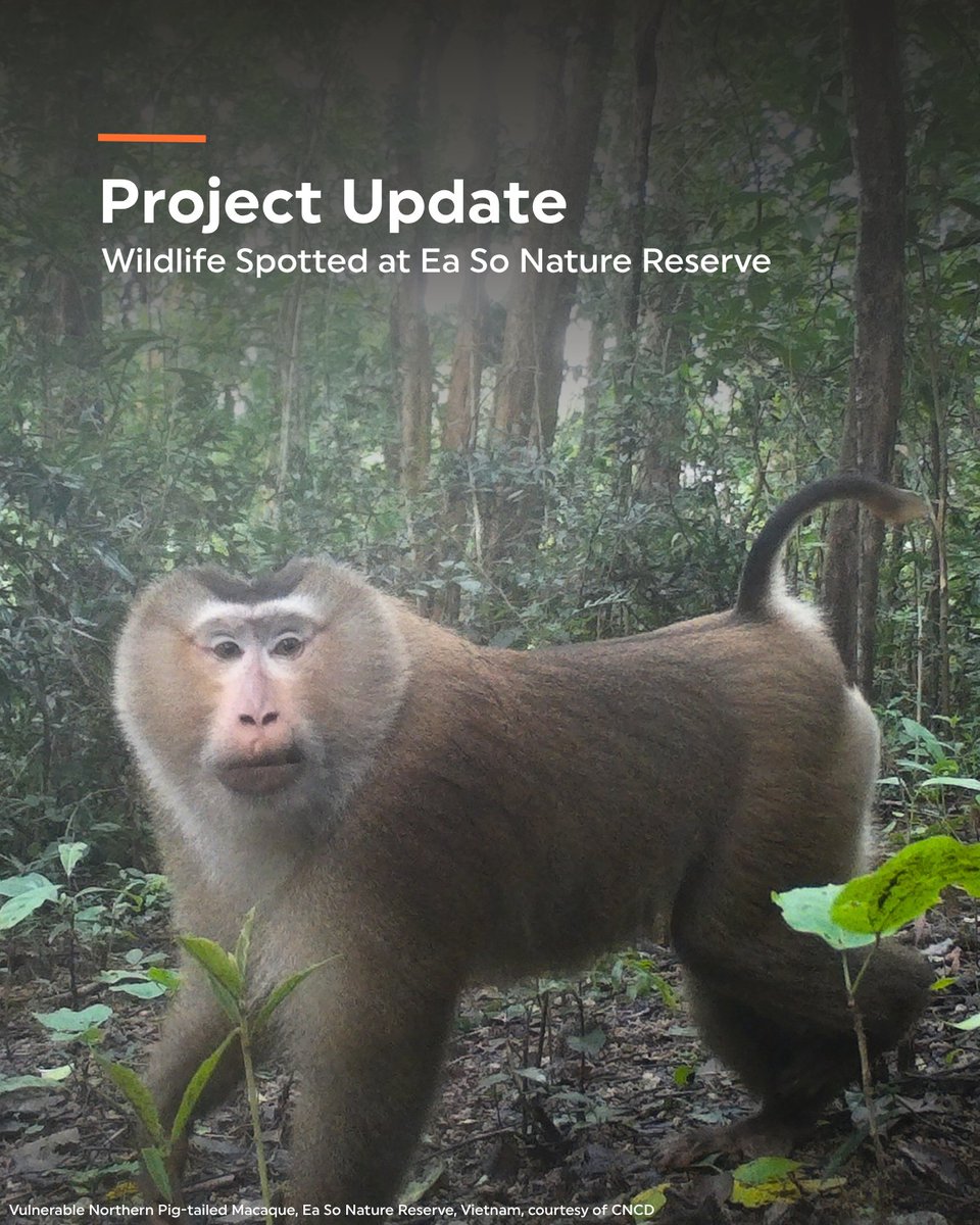 RainforestTrust tweet picture