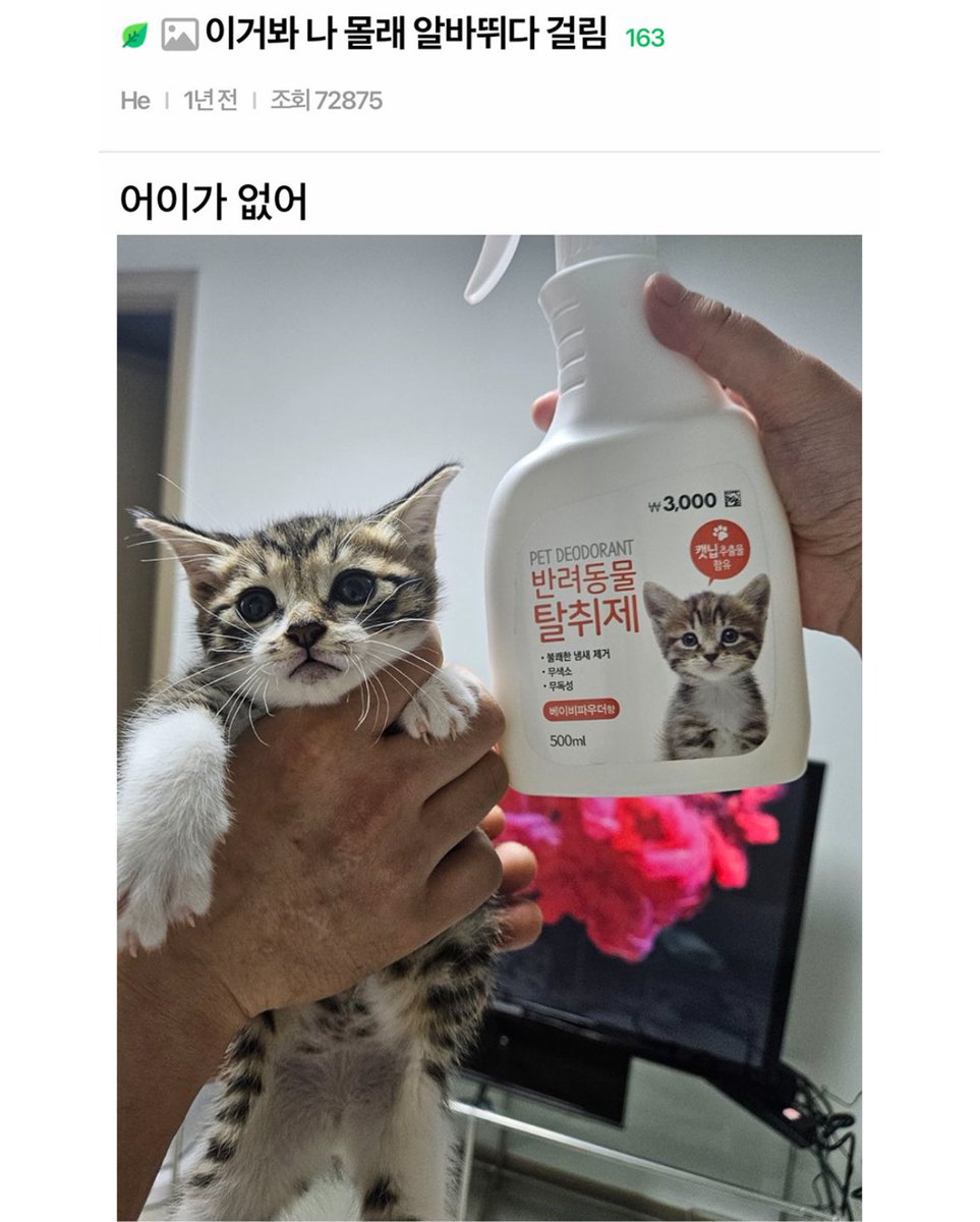 akzkfltm2's tweet photo. https://t.co/G4EibdHHts