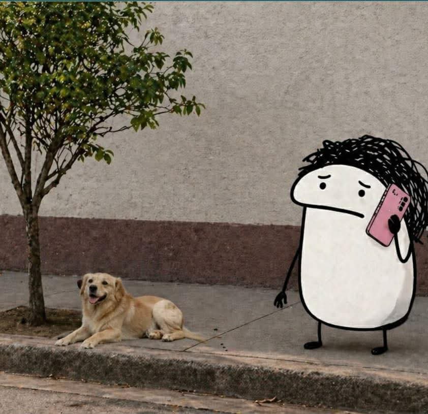 AmberRayz's tweet photo. Me, giving my location:

"I don't know... there's a tree and a dog." https://t.co/kFbXEJpYkn