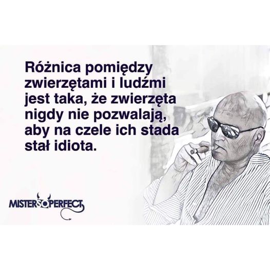 kurcek55's tweet photo. https://t.co/VjuIUmfUFP https://t.co/cKblnvsUIS