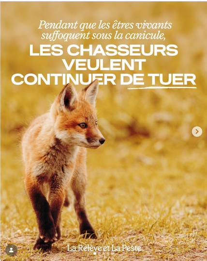 ChasseAbolition's tweet photo. Ils aiment tuer, ile tuent ils ne régulent pas !
N'oublions JAMAIS que le terme de #régulation a été mis en place pour créer une nécessité dans l'opinion public de leur loisir mortifère !
https://t.co/IaqAB5TuLk
#chasse #plaisirdetuer #sadisme #animaux #société #biodiversité https://t.co/VS44CPagXG