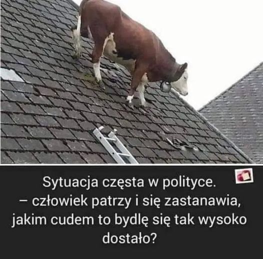 kurcek55's tweet photo. https://t.co/G1Tt5bpgoj https://t.co/kLv2JAP1nv