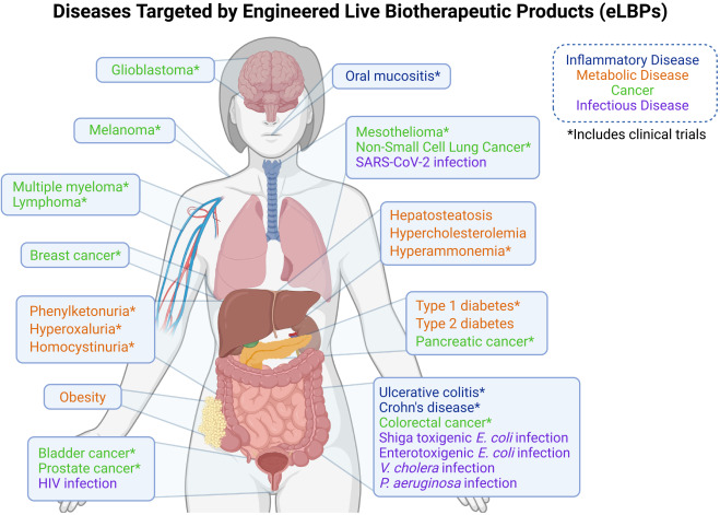 LabWaggoner's tweet photo. Review @cellhostmicrobe @UCSanDiego 
Engineering commensal microbes for host health
https://t.co/roWMcWSnB9 https://t.co/JsyU3pkbb9
