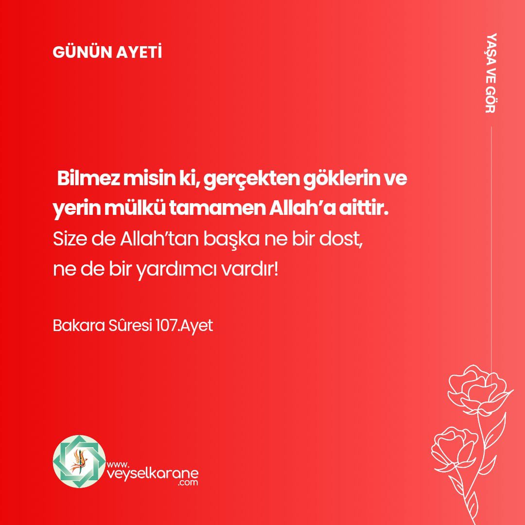 gul_sonnur's tweet photo. #momson #teenagee #ChłopakizMogilna #DíaDeLaIndependencia #AquilesÁlvarez #FatimaJinnah #veyselkaranecom https://t.co/NSztGNqx2K