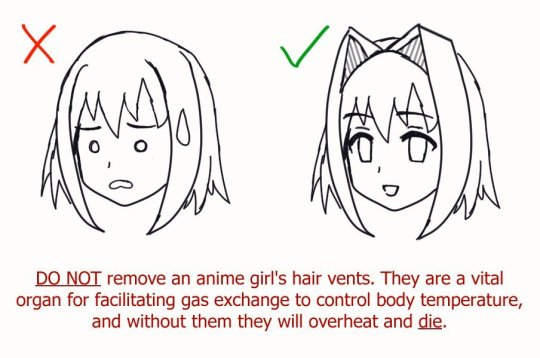 HaruhiismOtaku's tweet photo. Hair vents
They are very important https://t.co/yJcj7WXgXS