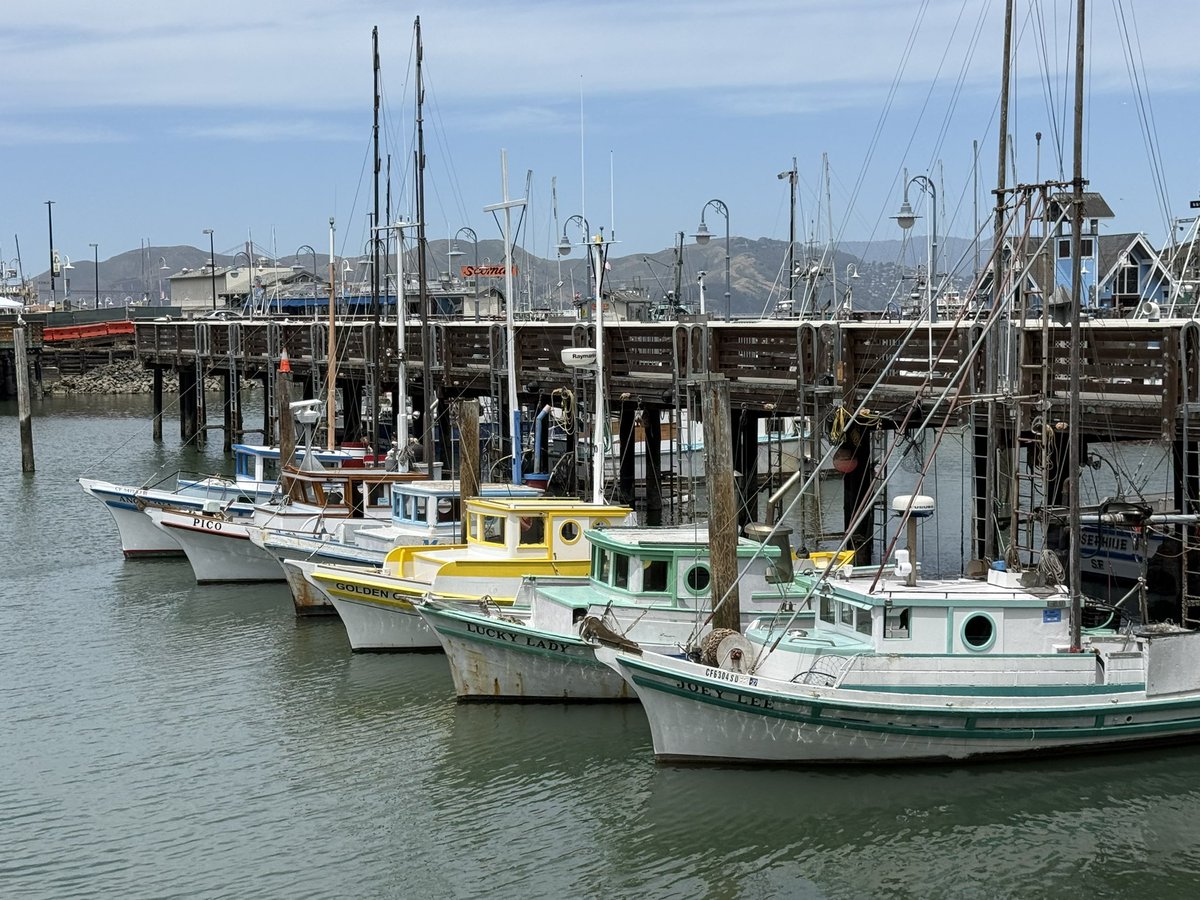 dpna's tweet photo. Fisherman’s Wharf Rings the Bell After Strong July 4th Weekend. Early Business Reports Show Record Sales, Sold-Out Hotels and Strong Waterfront Momentum Following Independence Day Celebration. @TheWharfSF 

https://t.co/zDZzxz2sYY https://t.co/SW1taUdePt