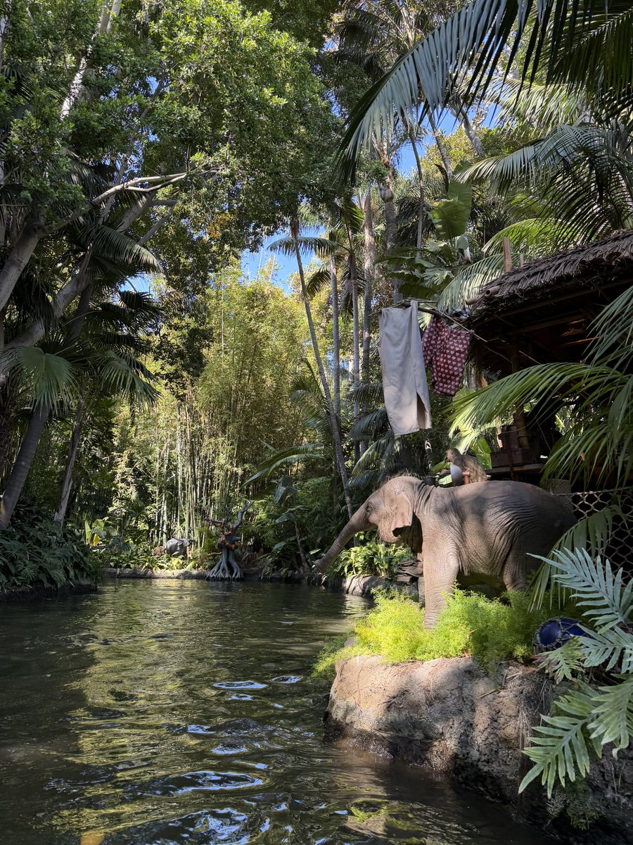 WEDenterprise's tweet photo. an adventureland type of morning https://t.co/eiNHUw5QFv
