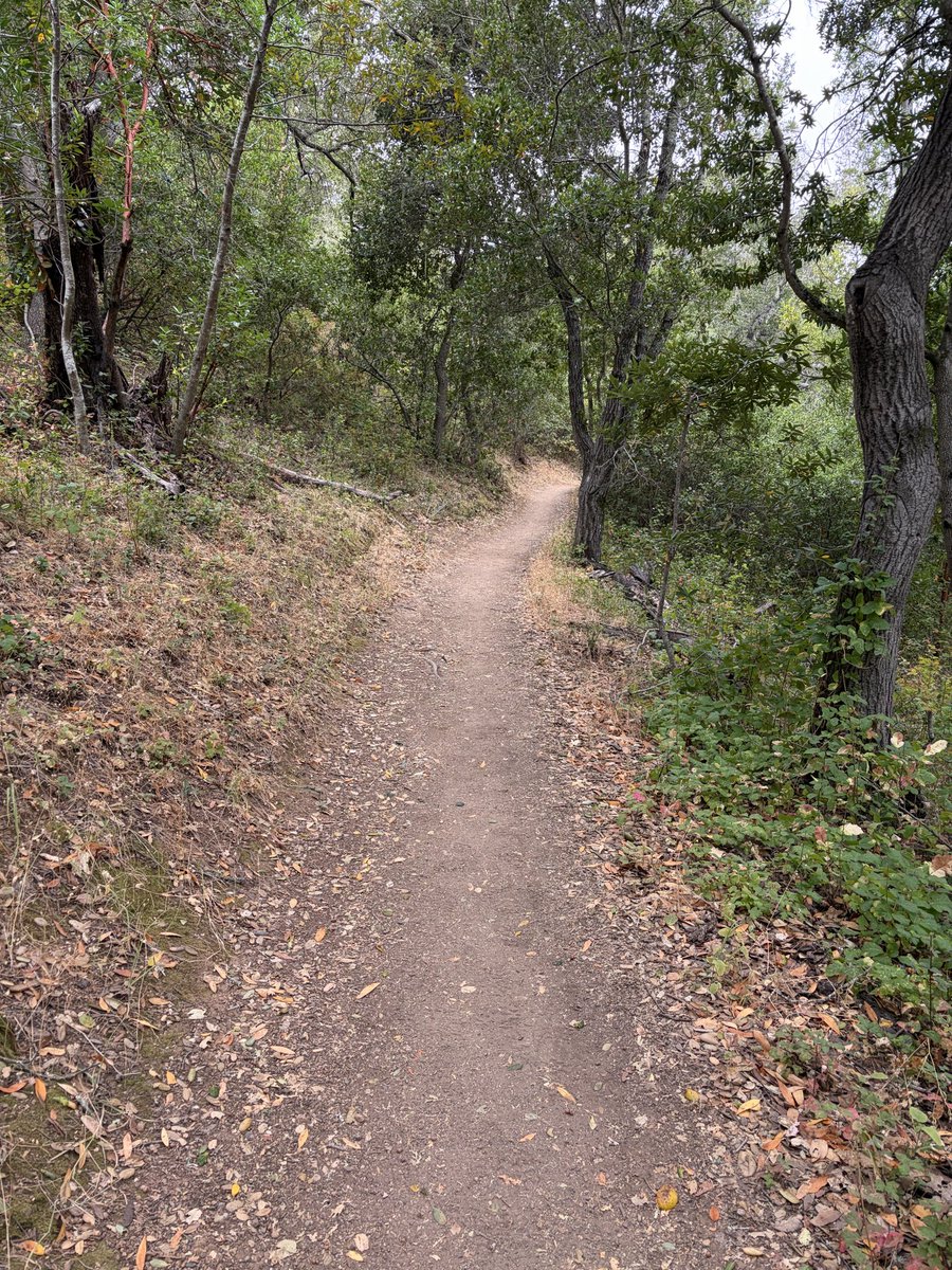DC_Fit3's tweet photo. Another day, more trail running 
🫶🏻🏃🌲☀️#trailrunning #dirtdevil 😈 https://t.co/i7mk62NX0E