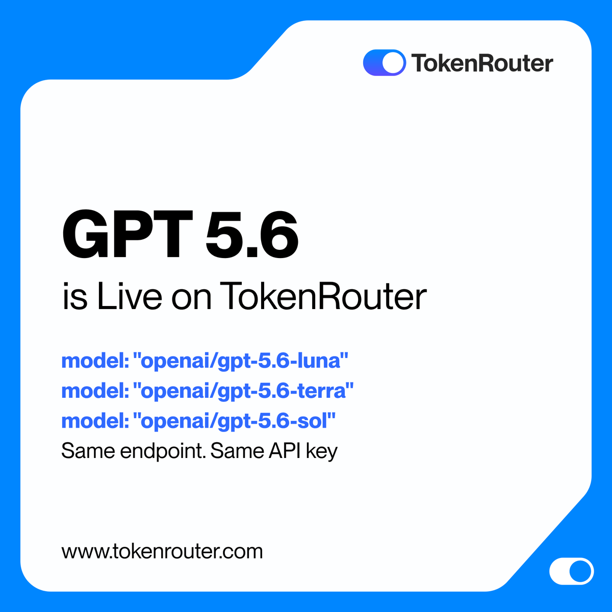 TokenRouter_US tweet picture