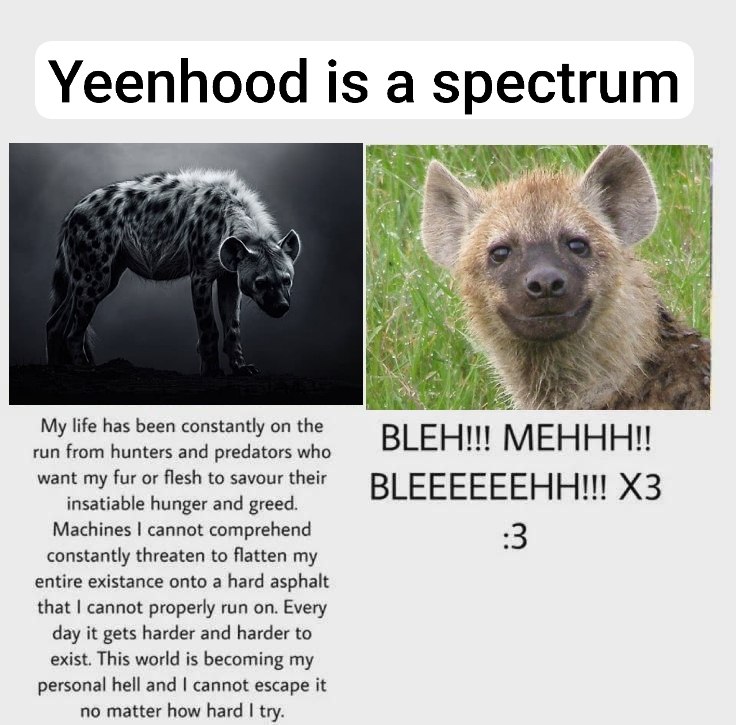 HeyItsYensu's tweet photo. Me in a nutshell https://t.co/WtB4NoNuJz