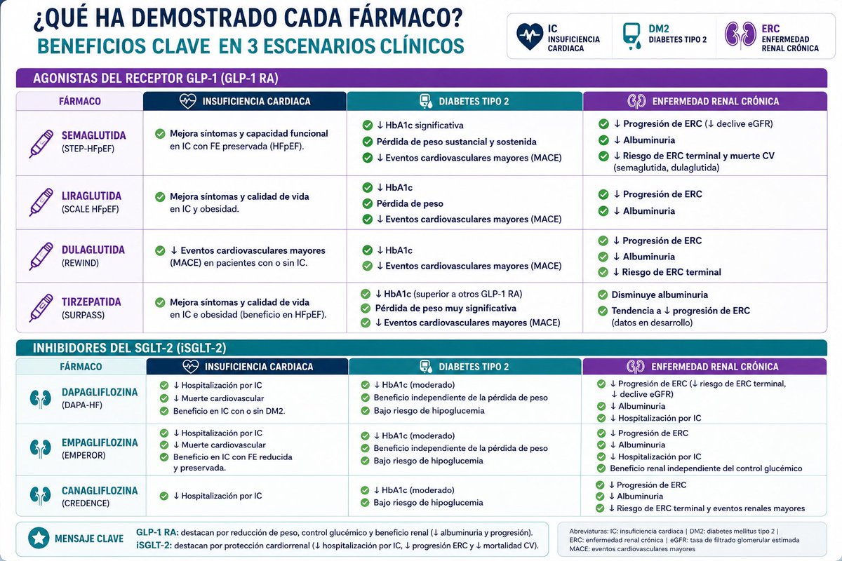 gabi_puchepalao's tweet photo. 🧵 GLP-1 e iSGLT-2: LO IMPRESCINDIBLE PARA EL INTERNISTA 

🚀 LOS 2 FÁRMACOS QUE HAN CAMBIADO LA MEDICINA
✅ iSGLT-2: beneficio cardiorrenal sólido
✅ GLP-1: beneficio cardiometabólico y renal

Ya no son "antidiabéticos". Hoy son fármacos para IC, ERC y riesgo cardiovascular. https://t.co/p0yIUr8irv