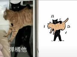 mis__fantasy's tweet photo. 放颱風假的愉悅(⁎⁍̴̛ᴗ⁍̴̛⁎) https://t.co/zFAkGuuH5Y