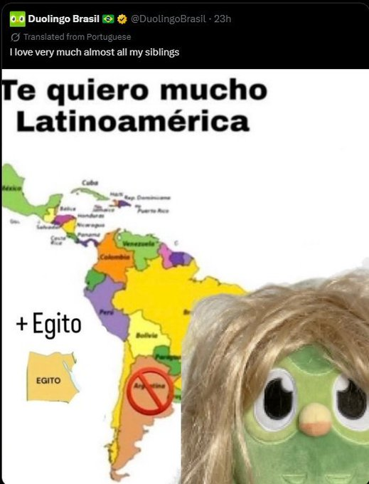 minutsr's tweet photo. @DuolingoBrasil algo se te borro , pajaro violado https://t.co/ZrBVmwwlUM
