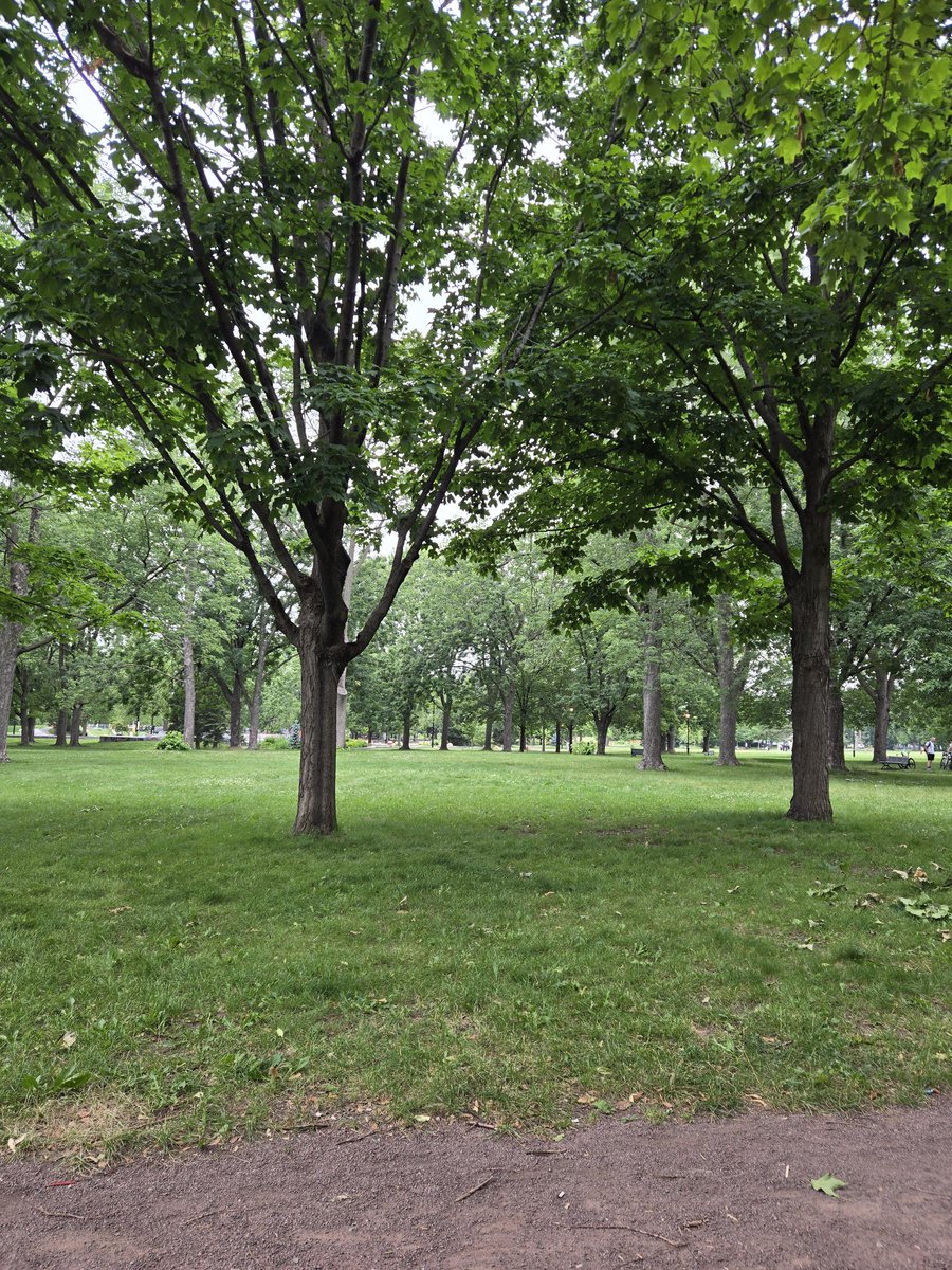 Beaulieu000's tweet photo. Parc Ahuntsic https://t.co/Drdux5ivu2