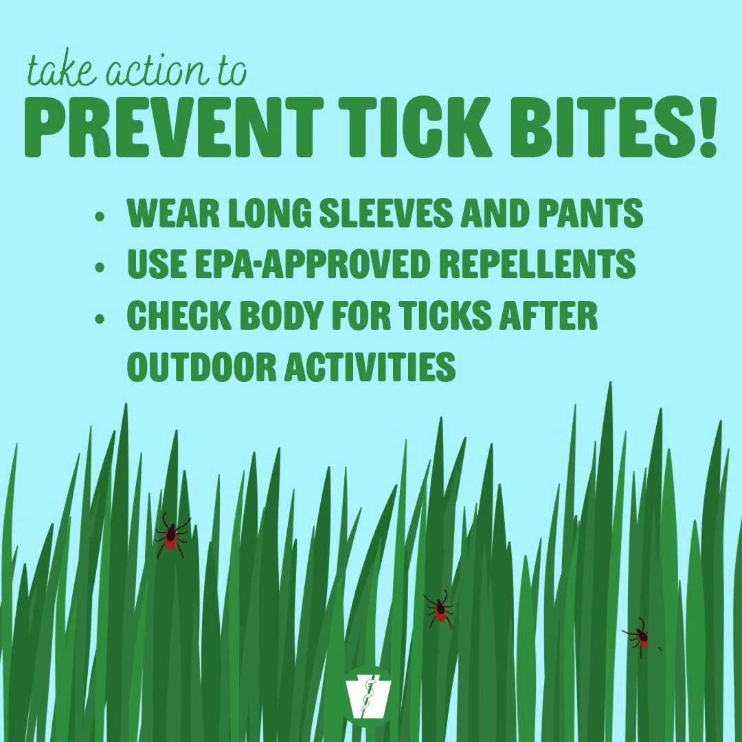 Illustration showing tall grass with ticks and tips to prevent tick bites by wearing long sleeves, using EPA-approved repellents, and checking the body after outdoor activities.