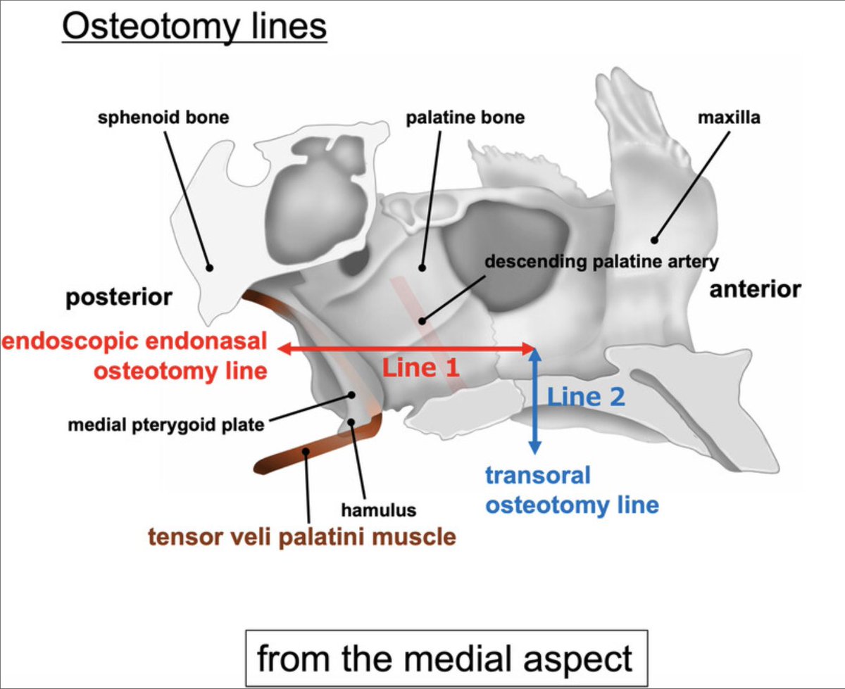 The Triological Society tweet media