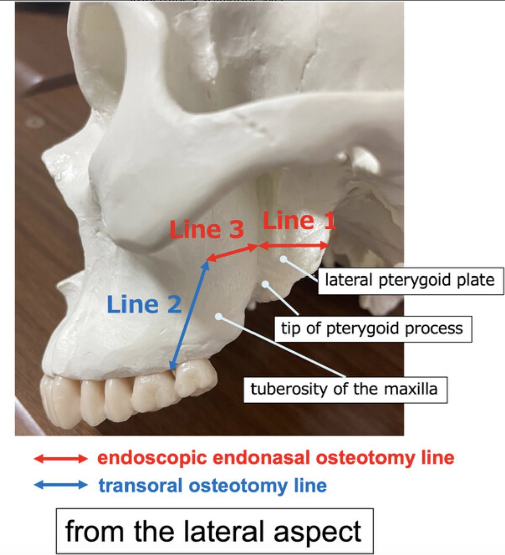 The Triological Society tweet media