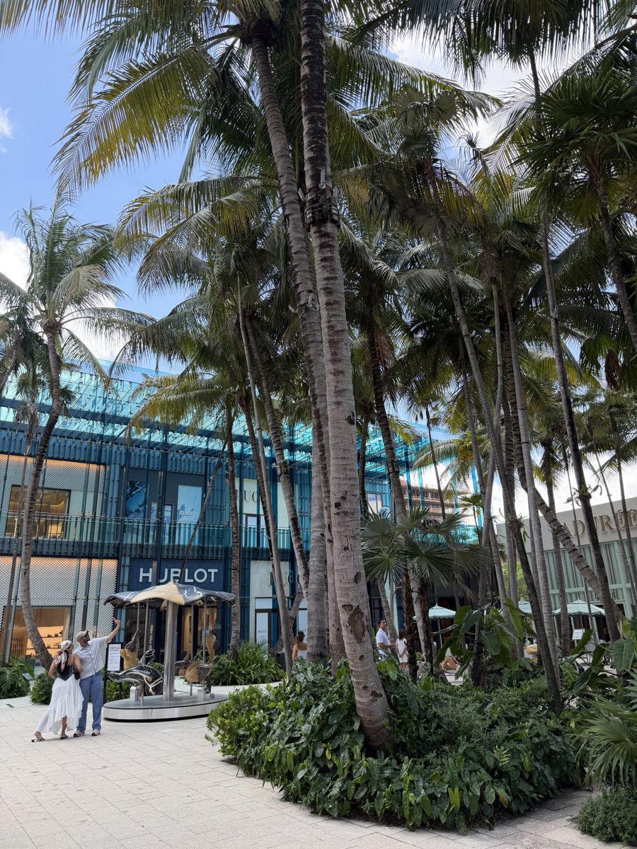 DialogueInto's tweet photo. Nothing beats that walk to the beach. 🌴☀️ The palm trees, the clear blue sky, and just pure vacation mode. https://t.co/vuSmXZrGOj