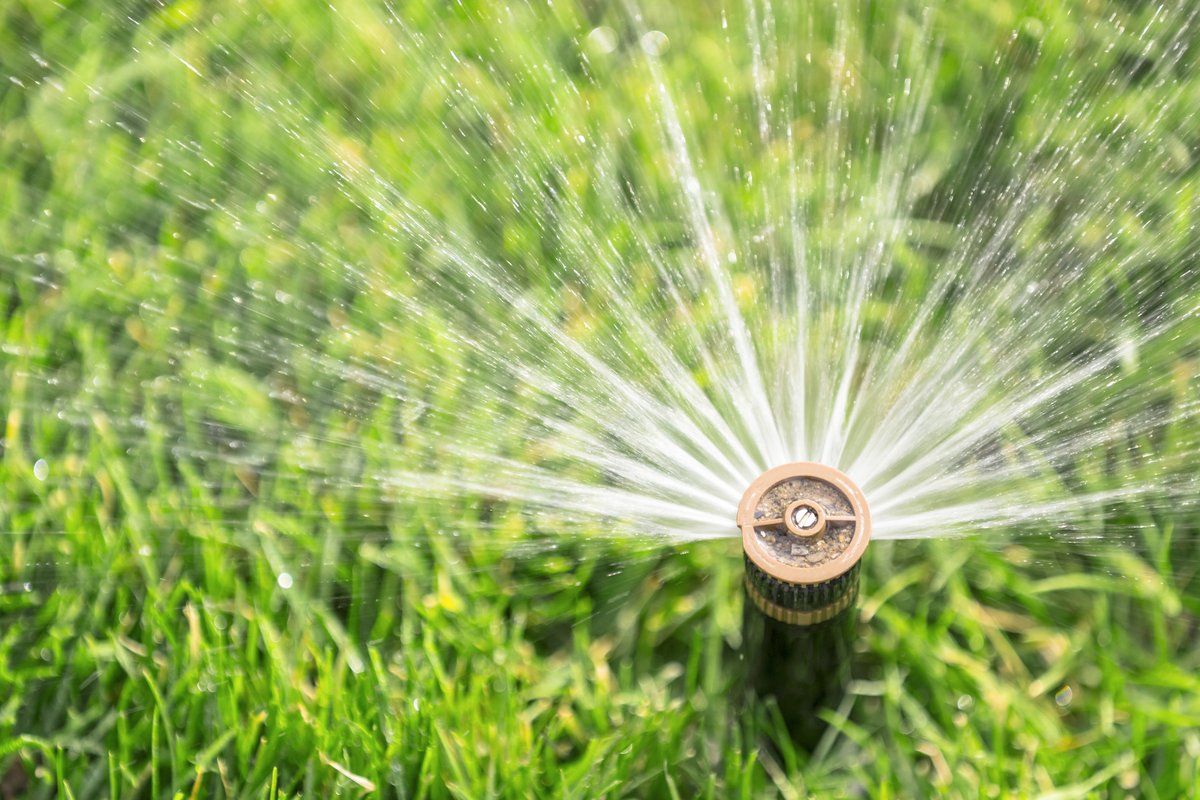 BrowardCounty's tweet photo. July is Smart Irrigation Month, so now is a good time to check your sprinkler system to make sure you're not watering too much (or too little). 💧 @BrowardEnv and Conservation Pays are here to help! ⬇️
https://t.co/G11T84deLK

**A service of the Broward County Board of County Commissioners.