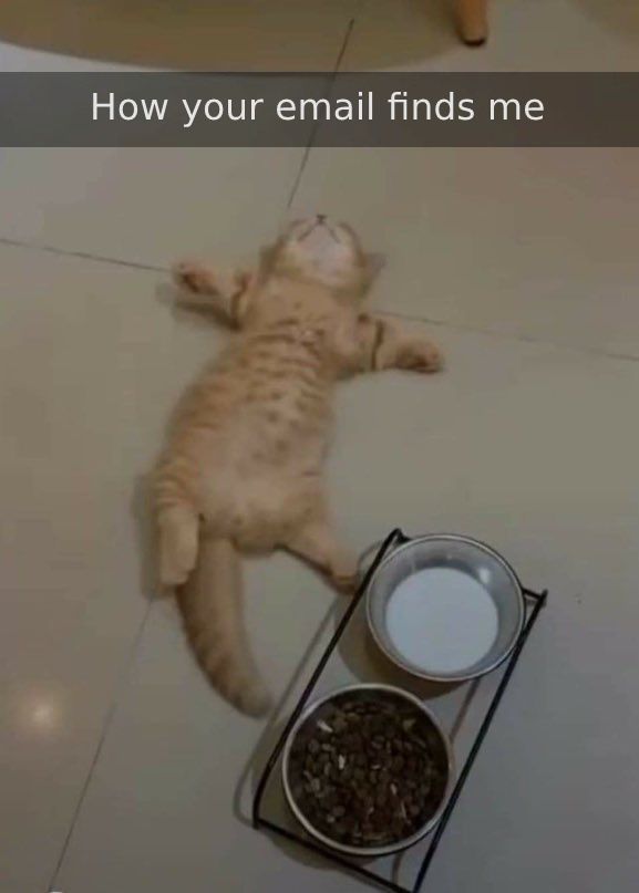 CatWorkers's tweet photo. https://t.co/WzB5s7oiue