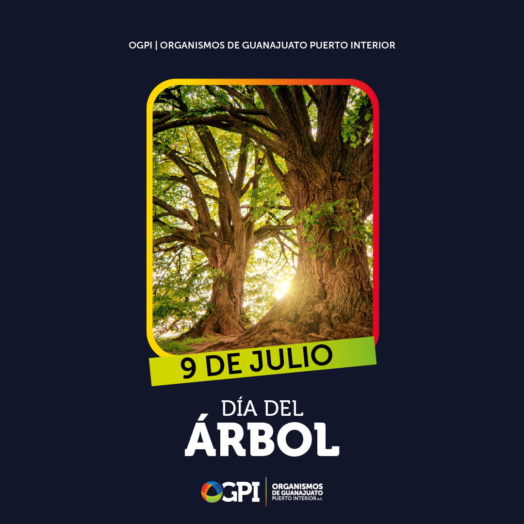 OGPIAC's tweet photo. Cada espacio verde dentro de este complejo oxigena el día a día de las miles de personas que lo integran.

Proteger nuestra flora local es un compromiso colectivo para mantener un entorno de trabajo saludable, digno y consciente. 👥🌱 https://t.co/JK9wBvVOdc